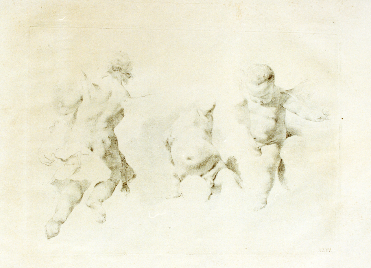 studio di puttini (stampa) di Pitteri Marco Alvise (sec. XVIII)