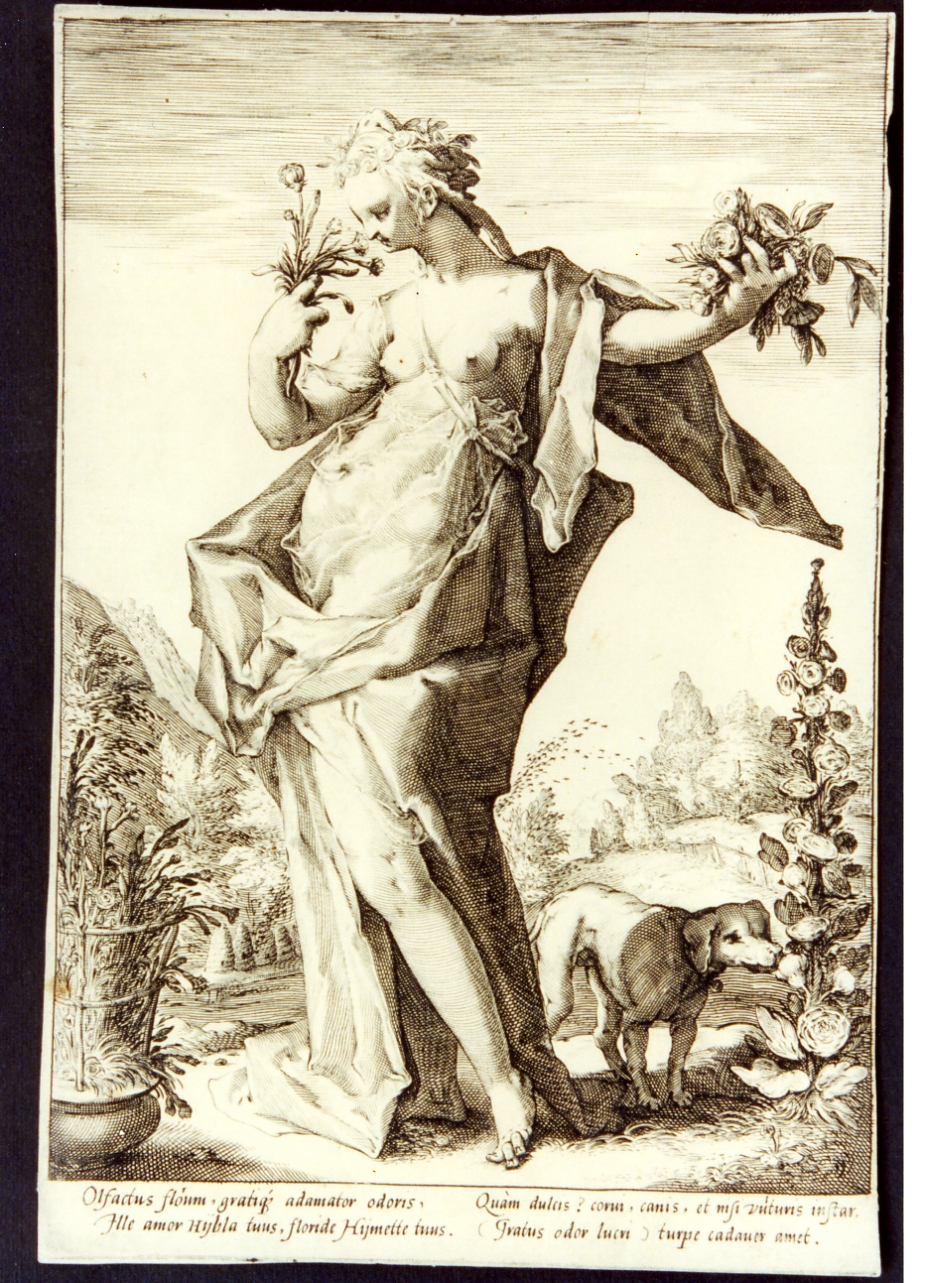 allegoria dell'olfatto (stampa) - ambito fiammingo (sec. XVI)