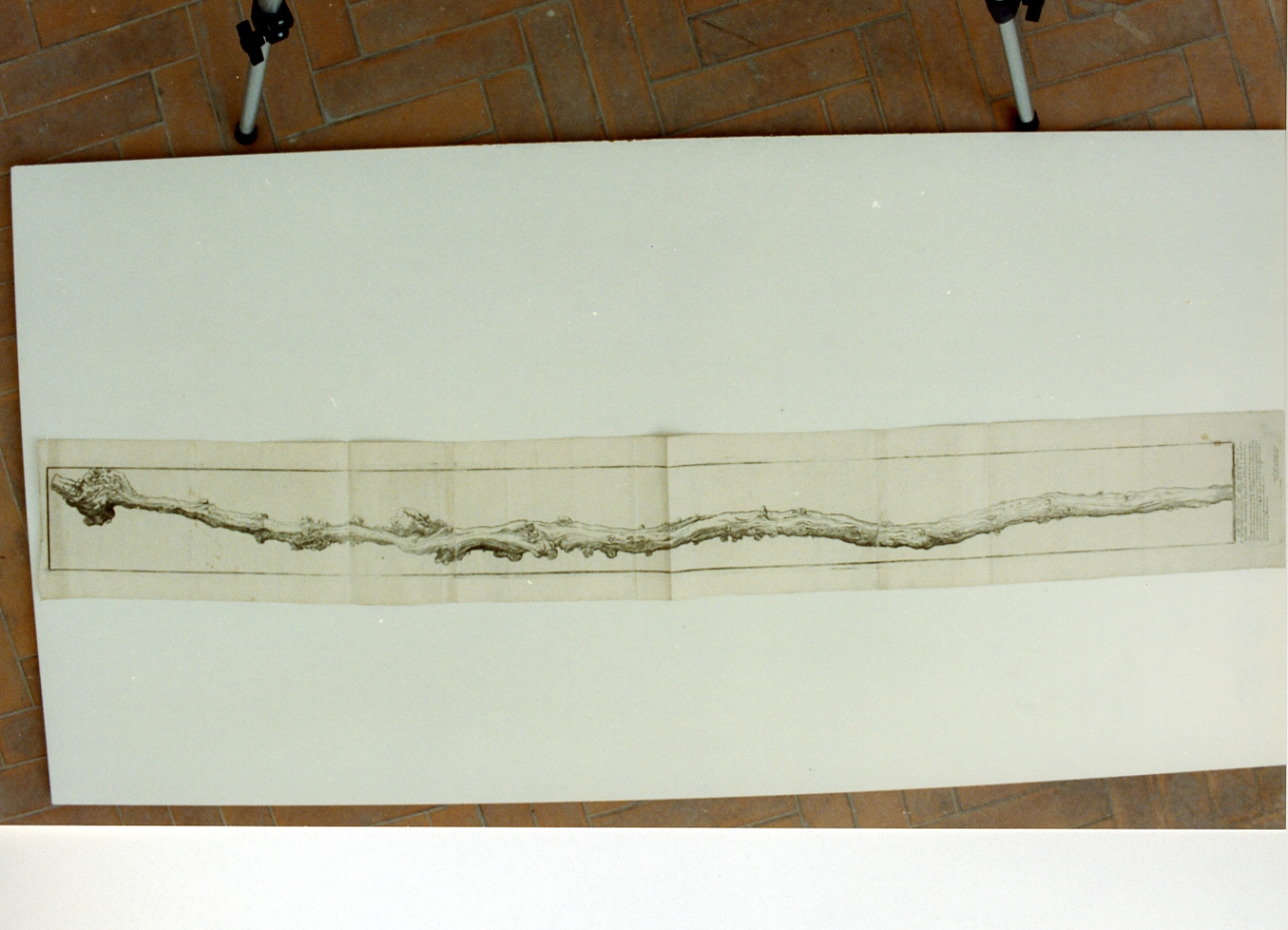 bastone di San Giuseppe (stampa) - ambito italiano (sec. XVIII)
