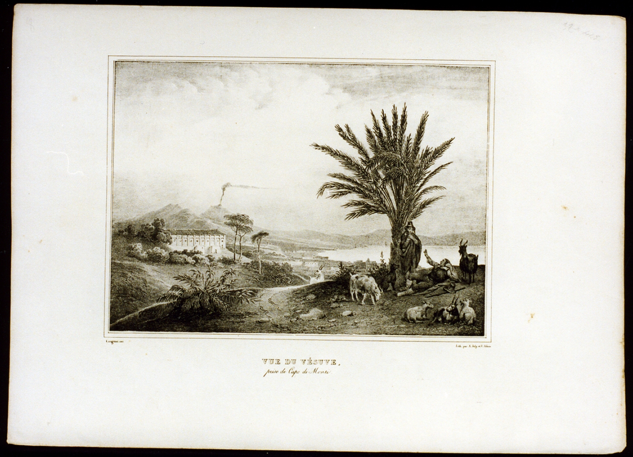 veduta del Vesuvio da Capodimonte (stampa) di Adam Victor Jean Vincent, Joly Alexis Victor (sec. XIX)