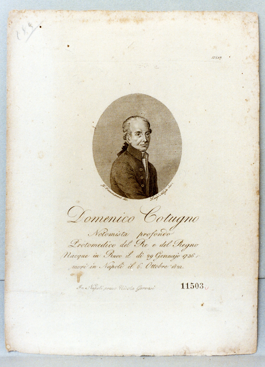 ritratto di Domenico Cotugno (stampa) di Aloja Luigi (sec. XIX)