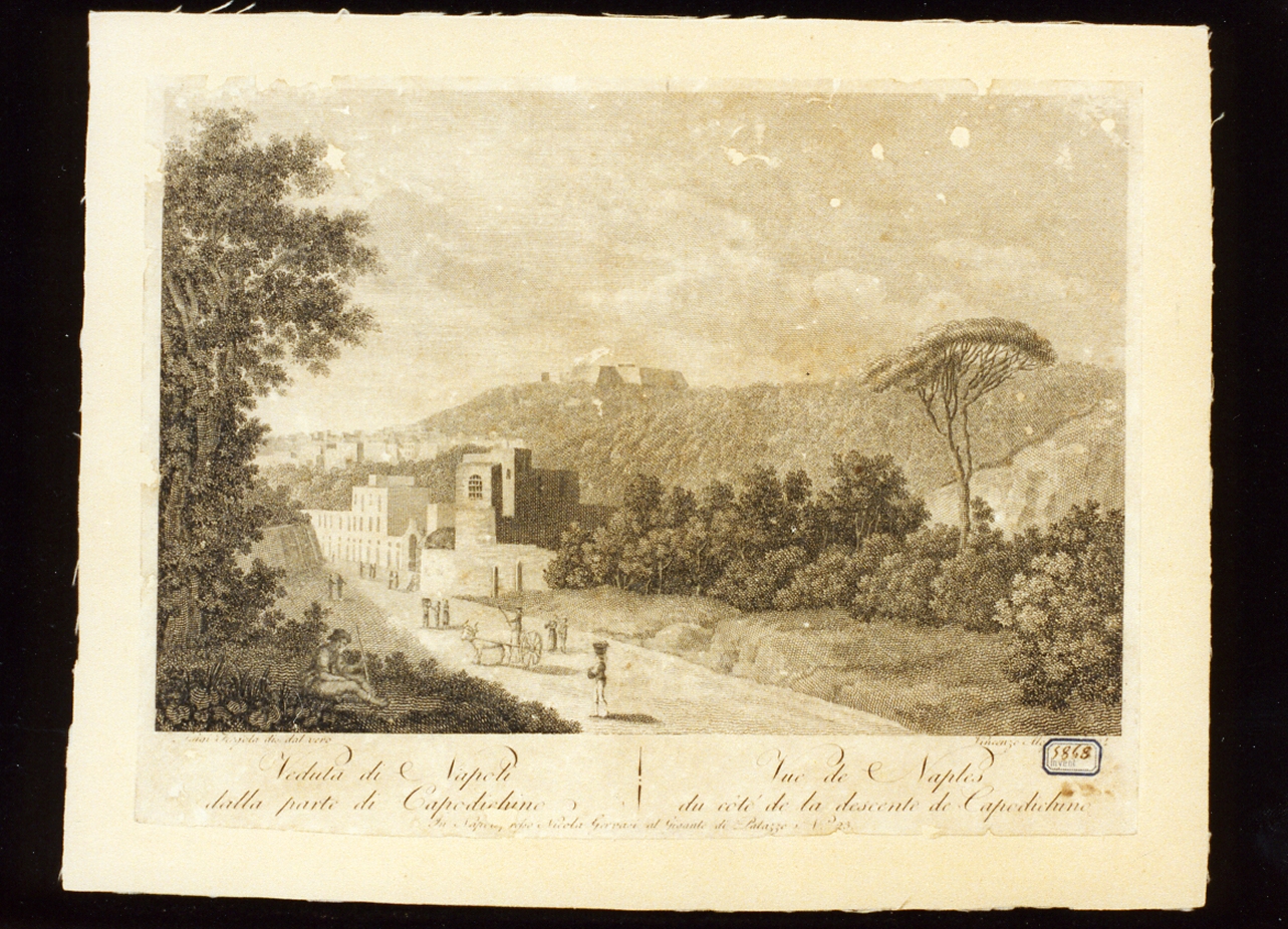 veduta di Napoli dalla parte di Capodimonte (stampa) di Alloja Vincenzo, Fergola Luigi (sec. XIX)