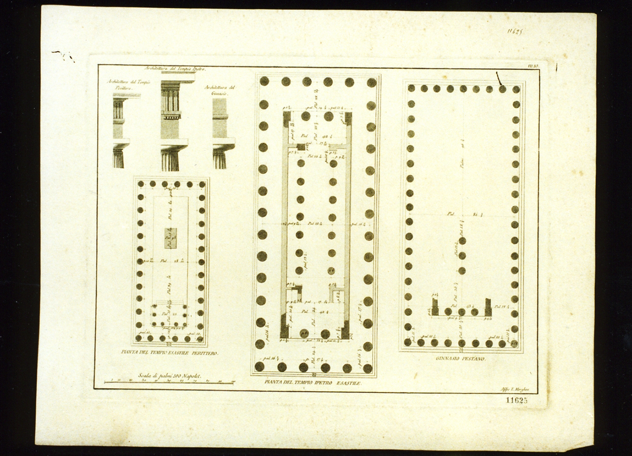 piante dei templi di Paestum (stampa) - ambito italiano (sec. XVIII)