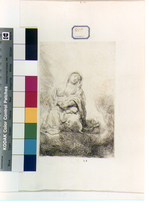 Madonna con Bambino (stampa) di Van Rijn Rembrandt Harmenszoon (maniera) (sec. XVII)