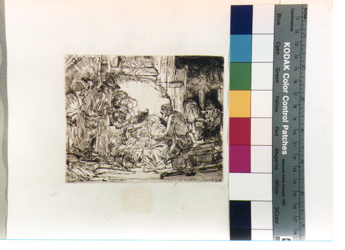 adorazione dei pastori (stampa) di Van Rijn Rembrandt Harmenszoon (sec. XVII)