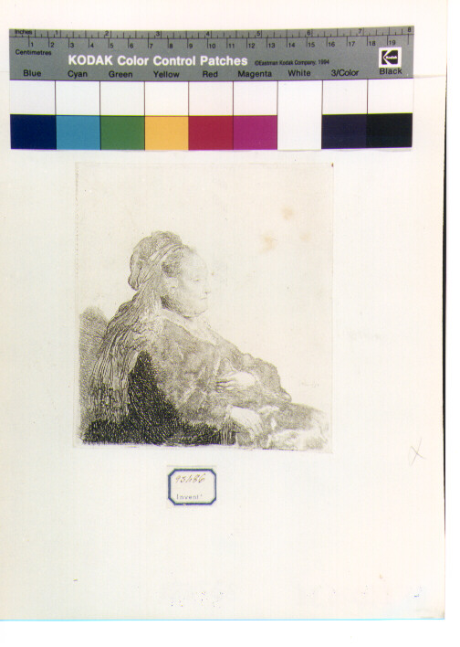 ritratto di donna (stampa) di Van Rijn Rembrandt Harmenszoon (sec. XVII)
