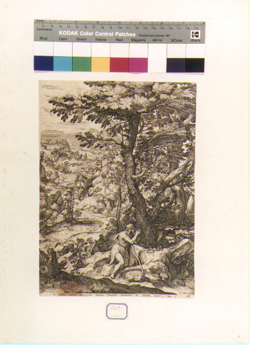 San Giovanni Battista nel deserto (stampa) di Muziano Girolamo detto Girolamo da Brescia (seconda metà sec. XVI)