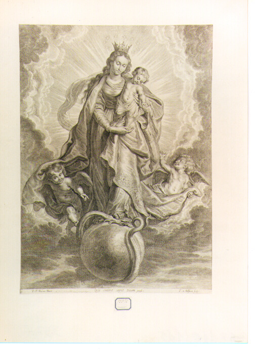 Madonna Immacolata (stampa) di Rubens Pieter Paul, Bolswert Schelte Adams (sec. XVII)