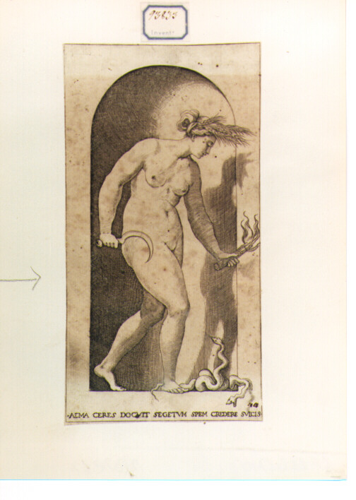 Cerere (stampa) di Giovan Battista di Jacopo detto Rosso Fiorentino, Caraglio Giovanni Giacomo (sec. XVII)