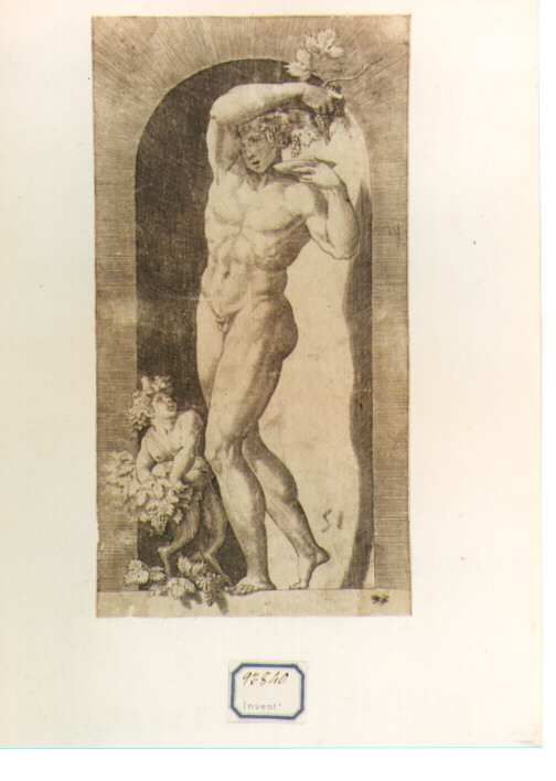 Bacco (stampa) di Villamena Francesco, Giovan Battista di Jacopo detto Rosso Fiorentino, Caraglio Giovanni Giacomo (sec. XVII)