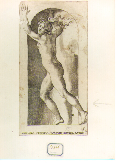 Ebe (stampa) di Caraglio Giovanni Giacomo, Giovan Battista di Jacopo detto Rosso Fiorentino (sec. XVII)