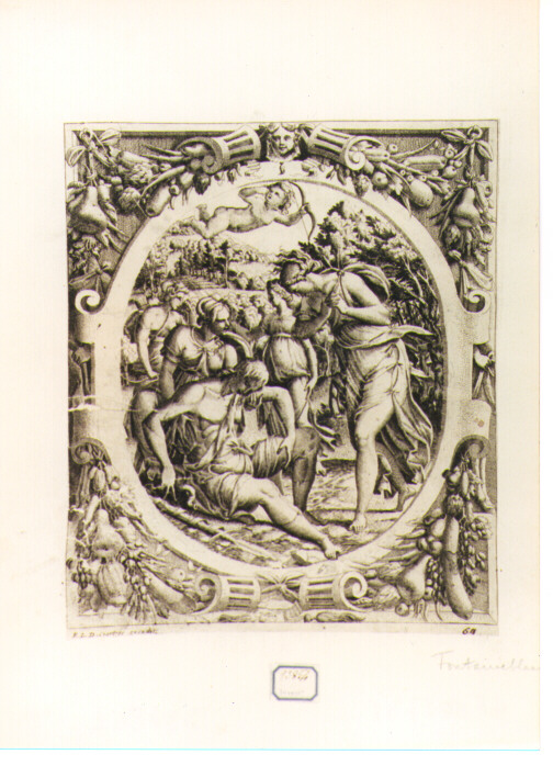 Adone (stampa) di Penni Luca detto Romanus (sec. XVII)