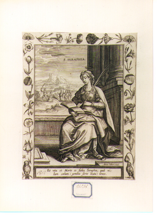 Santa (stampa) di Collaert Adriaen (CERCHIA) (secc. XVI/ XVII)