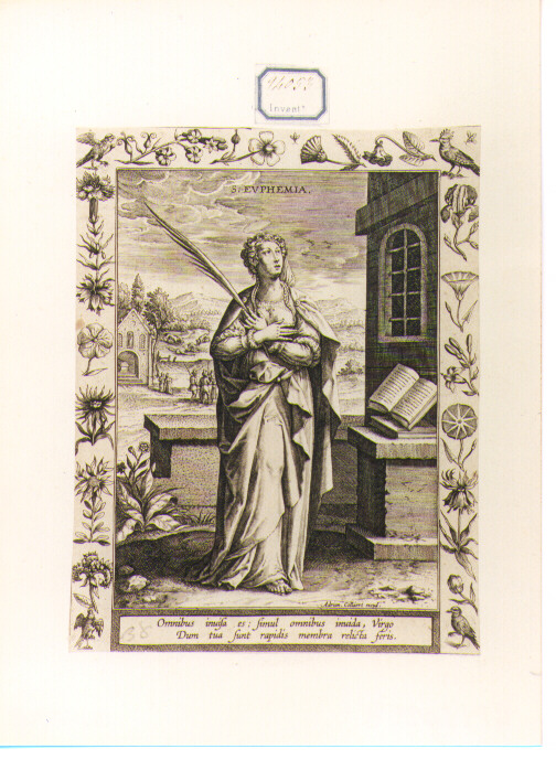 Santa (stampa) di Collaert Adriaen (CERCHIA) (secc. XVI/ XVII)