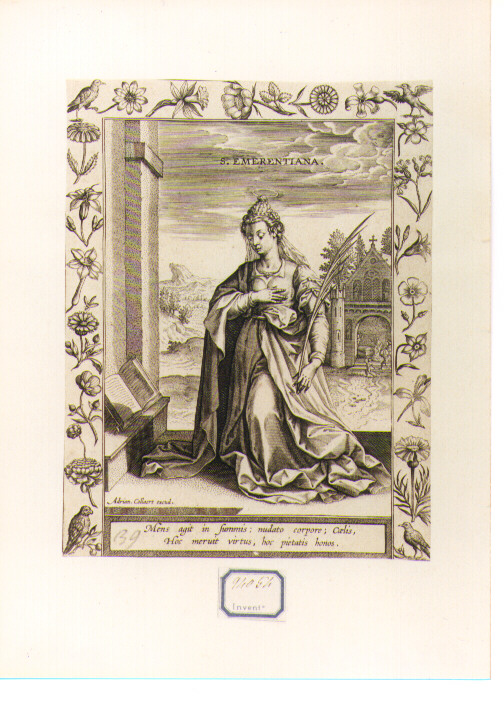Sant'Emerenziana (stampa) di Collaert Adriaen (CERCHIA) (secc. XVI/ XVII)