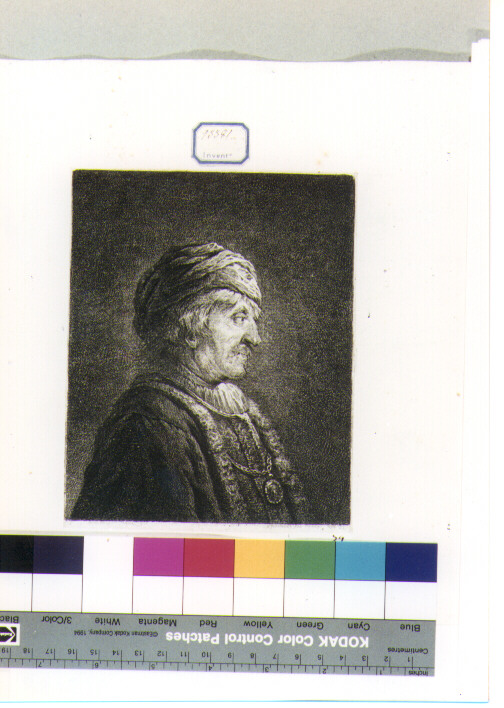 ritratto maschile di profilo (stampa) di Van Rijn Rembrandt Harmenszoon, Schmidt Georg Friedrich (sec. XVIII)