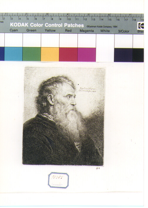 ritratto maschile di profilo (stampa) di Schmidt Georg Friedrich, Van Rijn Rembrandt Harmenszoon (sec. XVIII)