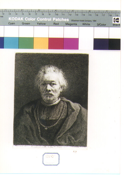 ritratto maschile a mezza figura (stampa) di Van Rijn Rembrandt Harmenszoon, Schmidt Georg Friedrich (sec. XVIII)