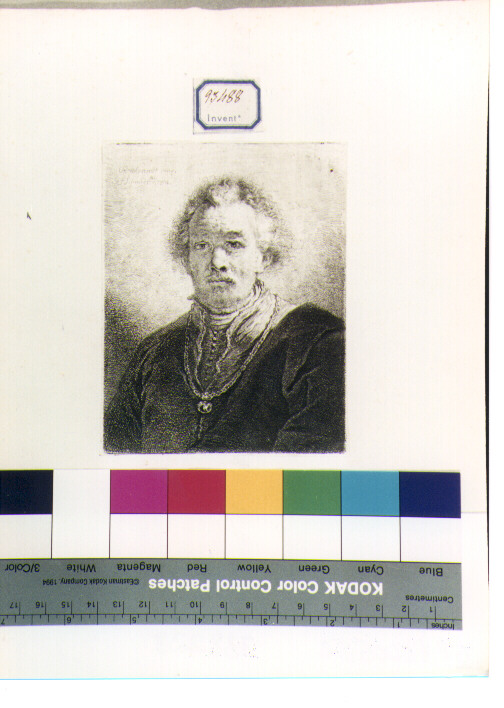ritratto maschile a mezza figura (stampa) di Schmidt Georg Friedrich, Van Rijn Rembrandt Harmenszoon (sec. XVIII)