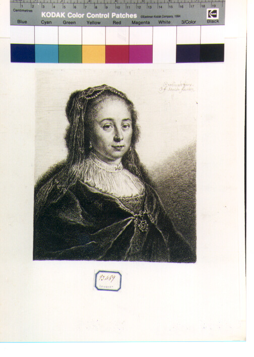 ritratto femminile a mezza figura (stampa) di Schmidt Georg Friedrich, Van Rijn Rembrandt Harmenszoon (sec. XVIII)