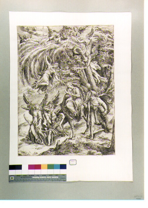 fuga in Egitto (stampa) di Alberti Cherubino (sec. XVI)
