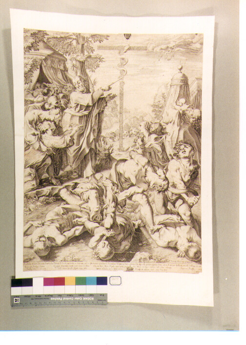 Mosè e il serpente di bronzo (stampa) di Fenzoni Ferraù, Villamena Francesco (sec. XVI)