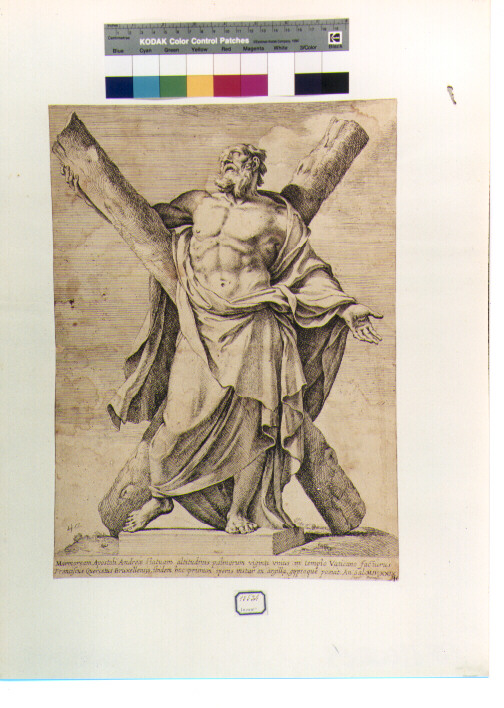 Sant'Andrea (stampa) di Duquesnoy François detto Fiammingo - ambito romano (sec. XVII)