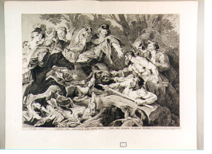 caccia al cinghiale (stampa) di Rubens Pieter Paul, Soutman Pieter Claesz (sec. XVII)