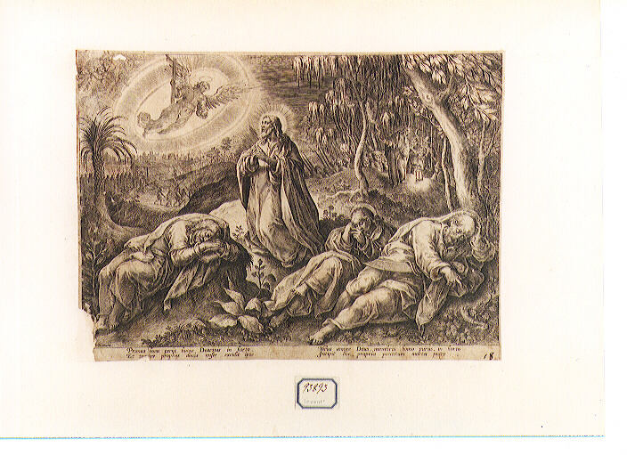 orazione di Cristo nell'orto di Getsemani (stampa) di Van der Straet Jan detto Giovanni Stradano (CERCHIA), Galle Philip (ultimo quarto sec. XVI)