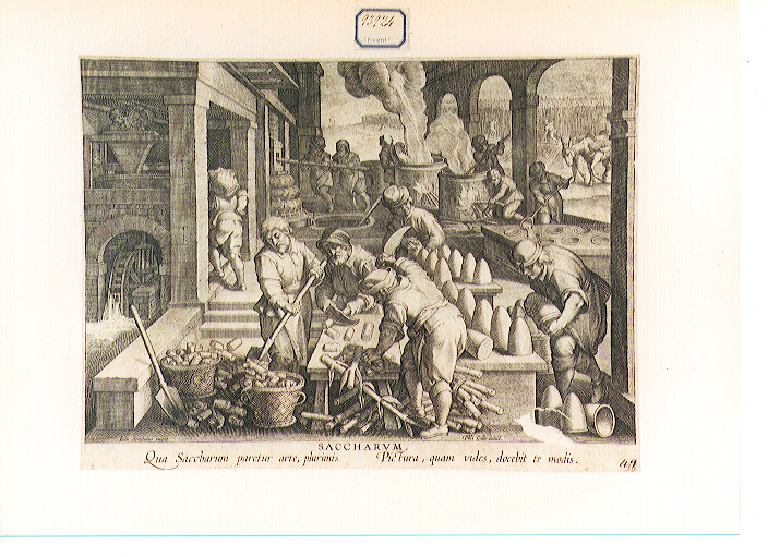 produzione dello zucchero (stampa) di Van der Straet Jan detto Giovanni Stradano, Galle Philip (CERCHIA) (ultimo quarto sec. XVI)