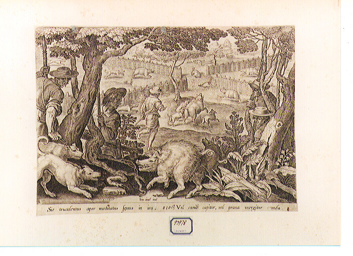 caccia al cinghiale (stampa) di Van der Straet Jan detto Giovanni Stradano, Galle Philip (CERCHIA) (sec. XVI)