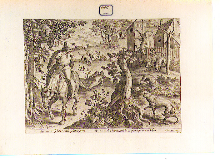 caccia al lupo (stampa) di Galle Philip (CERCHIA), Van der Straet Jan detto Giovanni Stradano (sec. XVI)