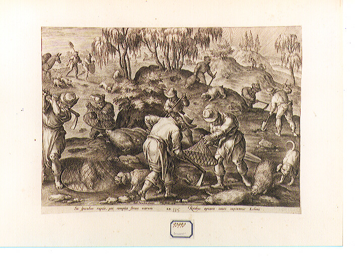 caccia all'istrice (stampa) di Van der Straet Jan detto Giovanni Stradano (CERCHIA), Galle Philip (sec. XVI)