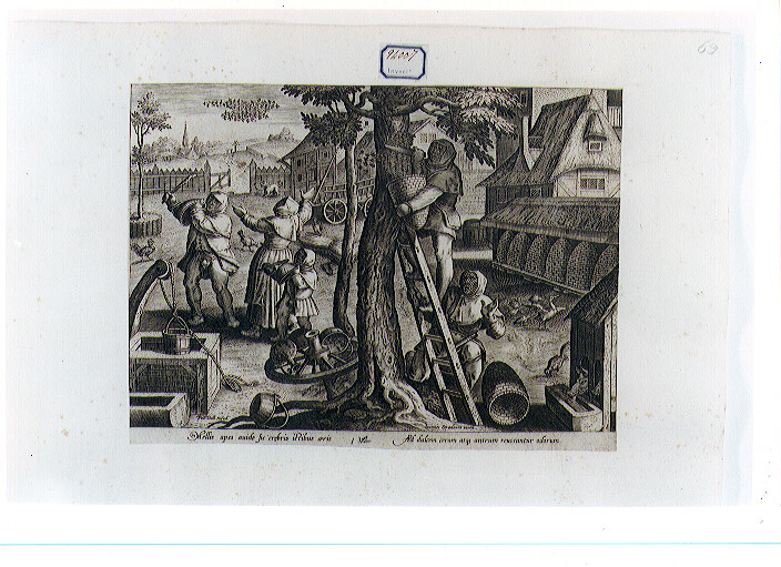 apicultori (stampa) di Van der Straet Jan detto Giovanni Stradano (CERCHIA), Galle Philip (sec. XVI)