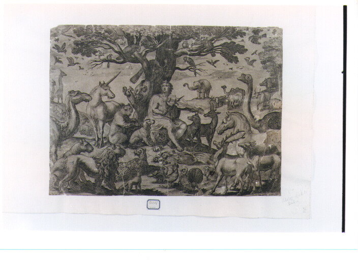 Orfeo incanta gli animali con la musica (stampa) di Tempesta Antonio (fine/inizio secc. XVI/ XVII)