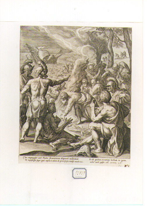 San Paolo morso da una vipera (stampa) di De Vos Marten (sec. XVI)