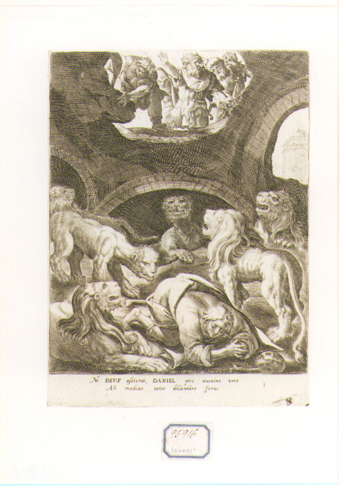 Daniele nella fossa dei leoni (stampa) di Van de Passe Crispyn I (seconda metà sec. XVI)