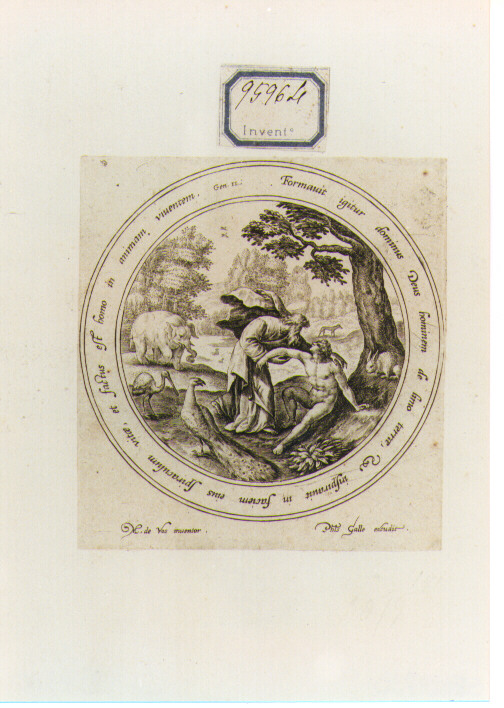 creazione di Adamo (stampa) di De Vos Marten (seconda metà sec. XVI)