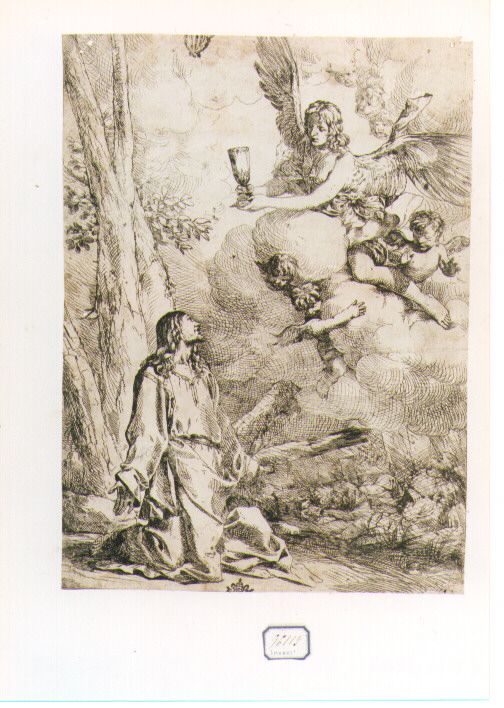 orazione di Cristo nell'orto di Getsemani (stampa) di Carpioni Giulio (sec. XVII)