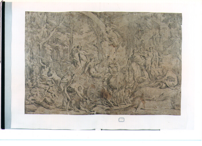 trionfo della Pittura in Parnaso (stampa) di Testa Pietro detto Lucchesino (sec. XVII)