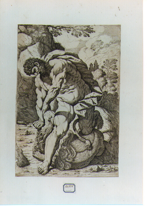 Ercole e il leone di Nemea (stampa) di Lana Ludovico (sec. XVII)