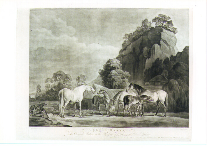 paesaggio con cavalli (stampa) di Stubbs George, Green Benjamin (sec. XVIII)