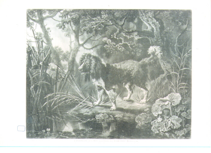 cane da caccia (stampa) di Watson James, Barret George il Vecchio (terzo quarto sec. XVIII)
