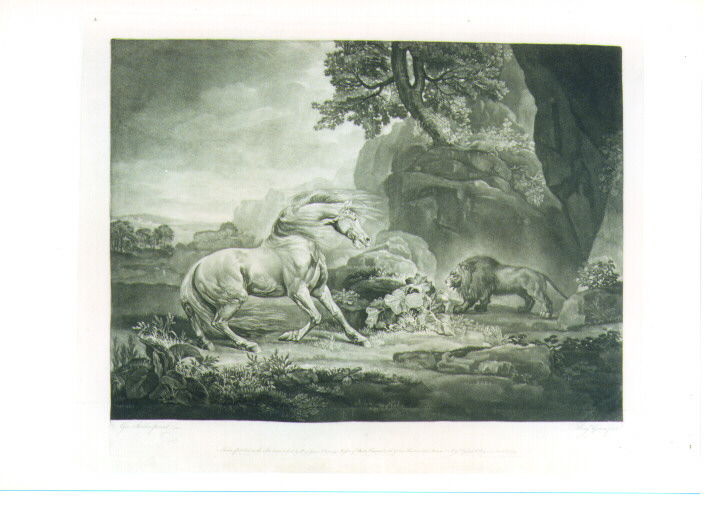 paesaggio con cavallo e leone (stampa) di Green Benjamin, Stubbs George (sec. XVIII)