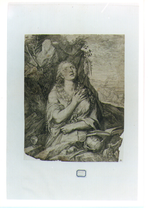 Santa Maria Maddalena penitente (stampa) di Cort Cornelis (CERCHIA) (sec. XVI)