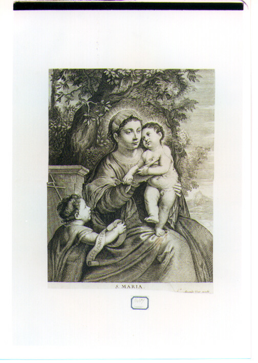 Madonna con Bambino e San Giovannino (stampa) - ambito italiano (sec. XVII)