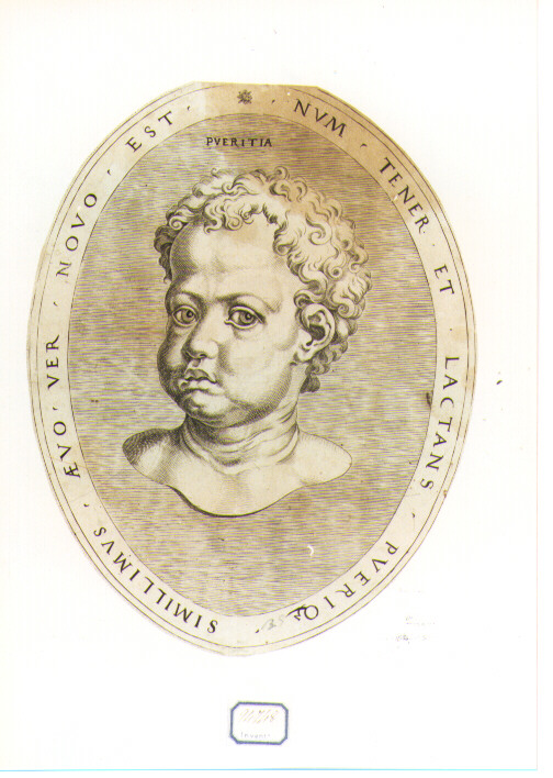 ritratto di bambino (stampa) - ambito italiano (secc. XVI/ XVII)