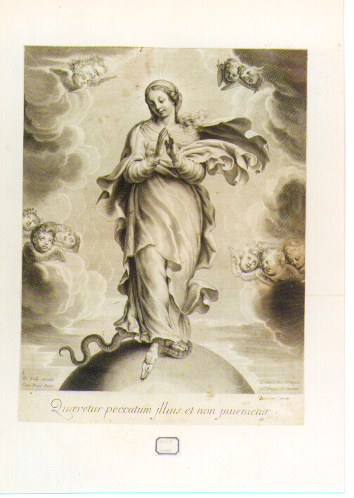 Madonna Immacolata (stampa) di De Poilly François III (secc. XVI/ XVII)