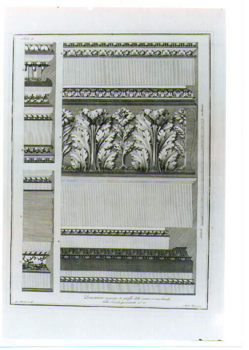 MOTIVI DECORATIVI GEOMETRICI E VEGETALI STILIZZATI (stampa) di Albertolli Giocondo il Vecchio, Mercoli Giacomo (sec. XVIII)