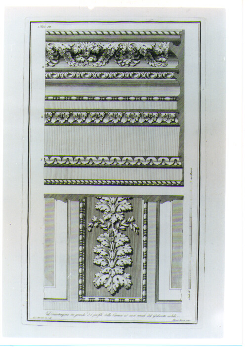 MOTIVI DECORATIVI GEOMETRICI E VEGETALI STILIZZATI (stampa) di Albertolli Giocondo il Vecchio, Mercoli Giacomo (sec. XVIII)